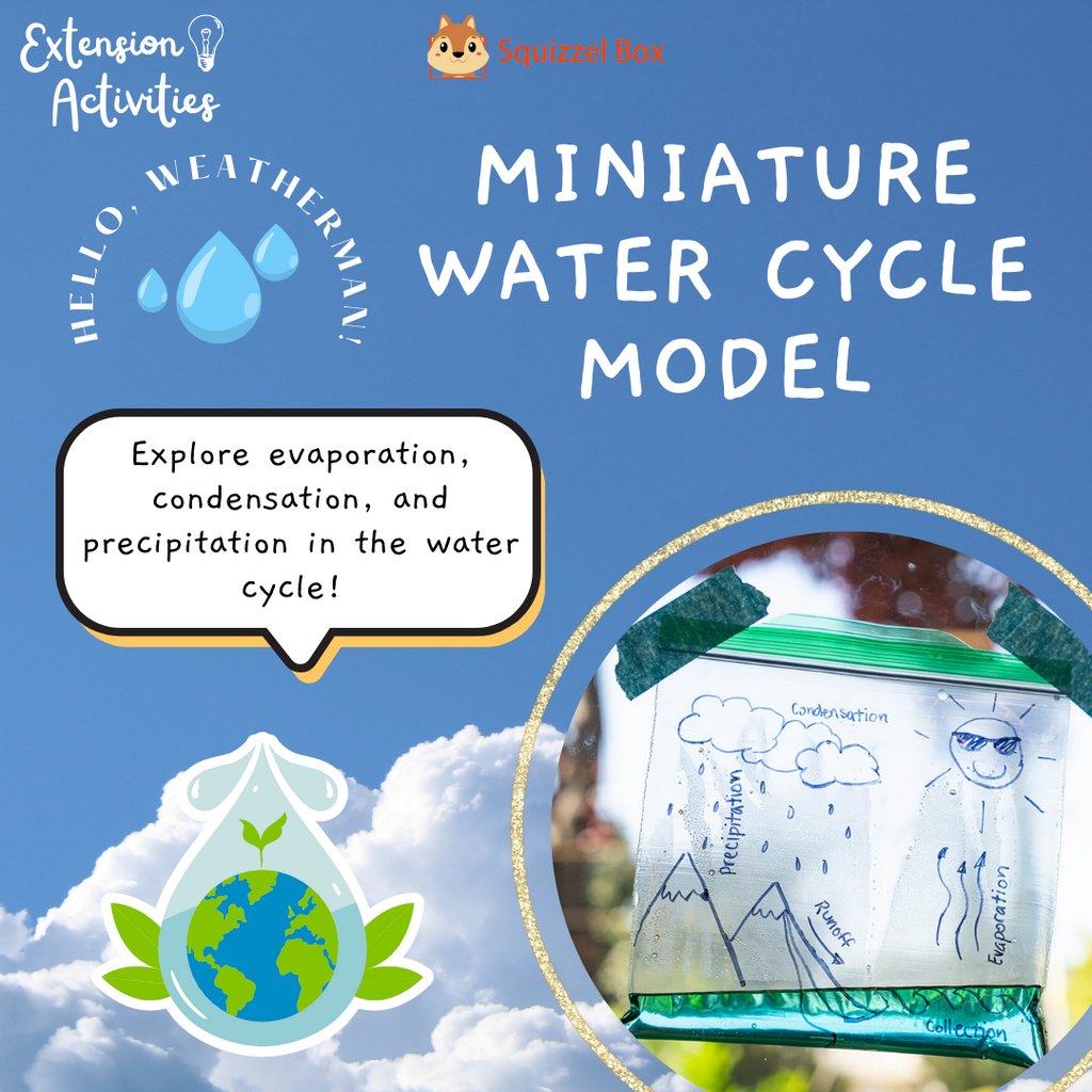 Miniature Water Cycle