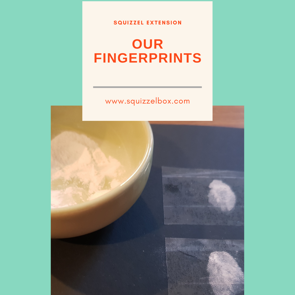 Our Unique Fingerprints