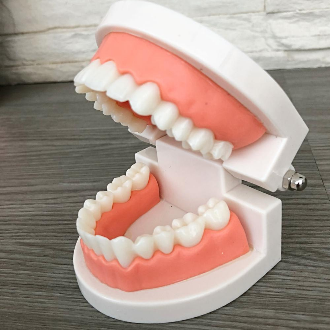 Healthy Teeth Set