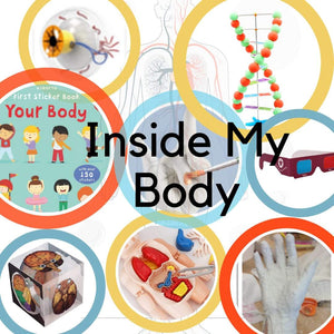 Inside My Body Box